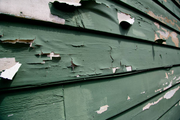 Best Construction Debris Removal  in Hilton, NY